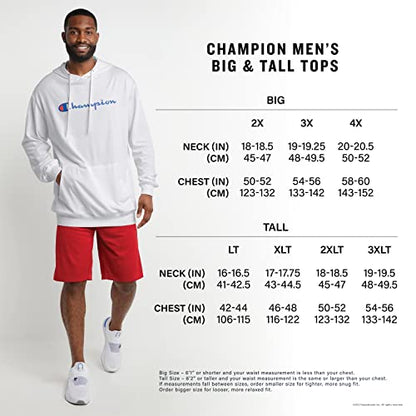 Champion Men's Hoodie, Powerblend, Fleece Men's Hoodie, Comfortable Men's Sweatshirt, Script Logo (Reg. or Big & Tall)
