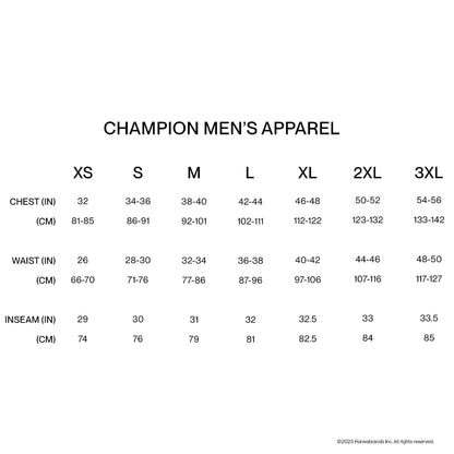 Champion Men's Hoodie, Powerblend, Fleece Men's Hoodie, Comfortable Men's Sweatshirt, Script Logo (Reg. or Big & Tall)