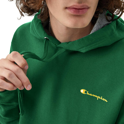 Champion Men's Hoodie, Powerblend, Fleece Men's Hoodie, Comfortable Men's Sweatshirt, Script Logo (Reg. or Big & Tall)